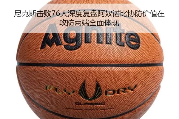 img_1783252780909_325_1_744.jpg